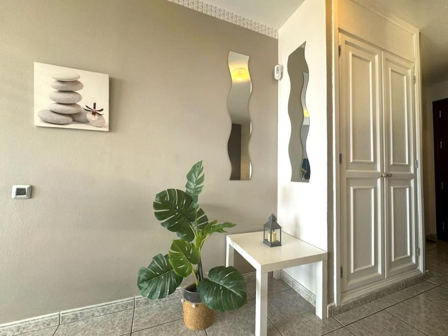 Palm Garden Apartment 莫罗德哈布雷 外观 照片