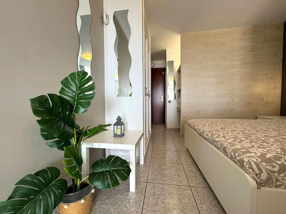 Palm Garden Apartment 莫罗德哈布雷 外观 照片