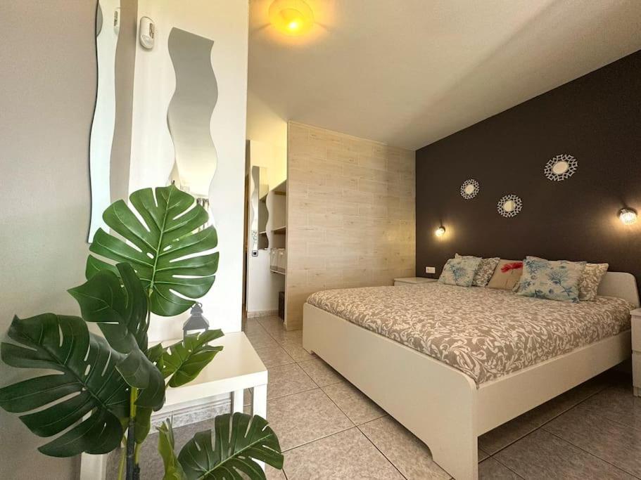 Palm Garden Apartment 莫罗德哈布雷 外观 照片